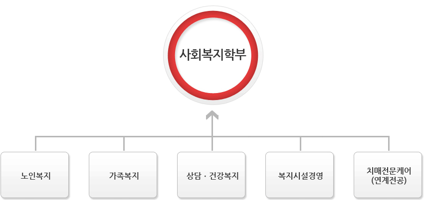 사회복지학부 노인복지, 가족복지, 상담ㆍ건강복지, 복지시설경영, 치매전문케어(연계전공)